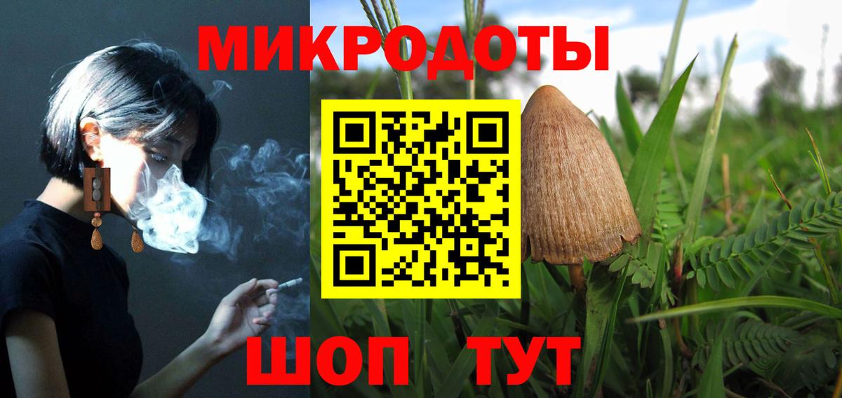 Тимашёвск  Псилоцибиновые грибы GOLDEN TEACHER  Вход с VPN  Галлюциногенные грибы Magic Shrooms 